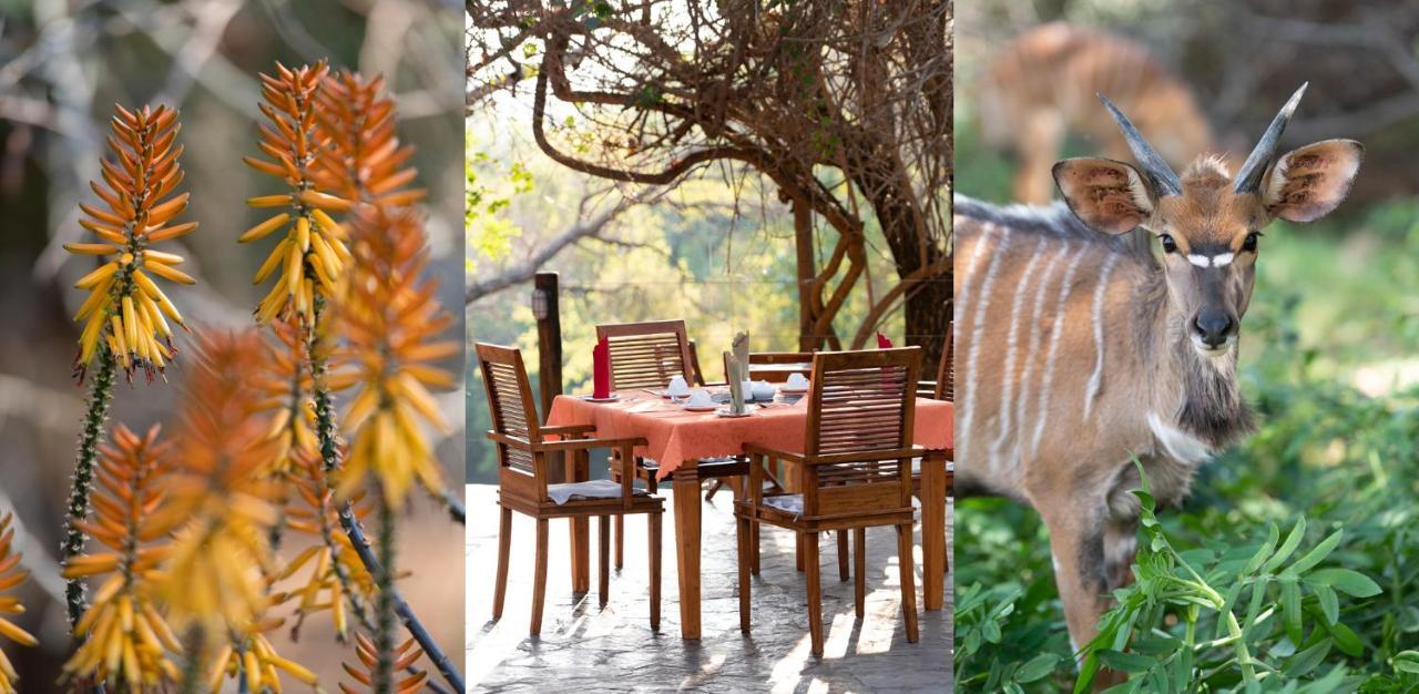 Blyde River Wilderness Lodge Hoedspruit Exterior foto